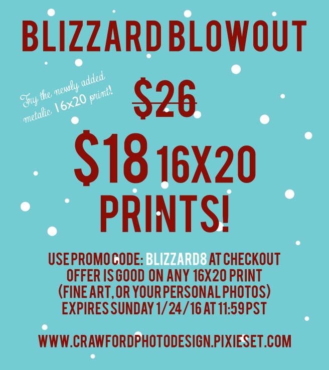 Blizzard Blowout 16x20s